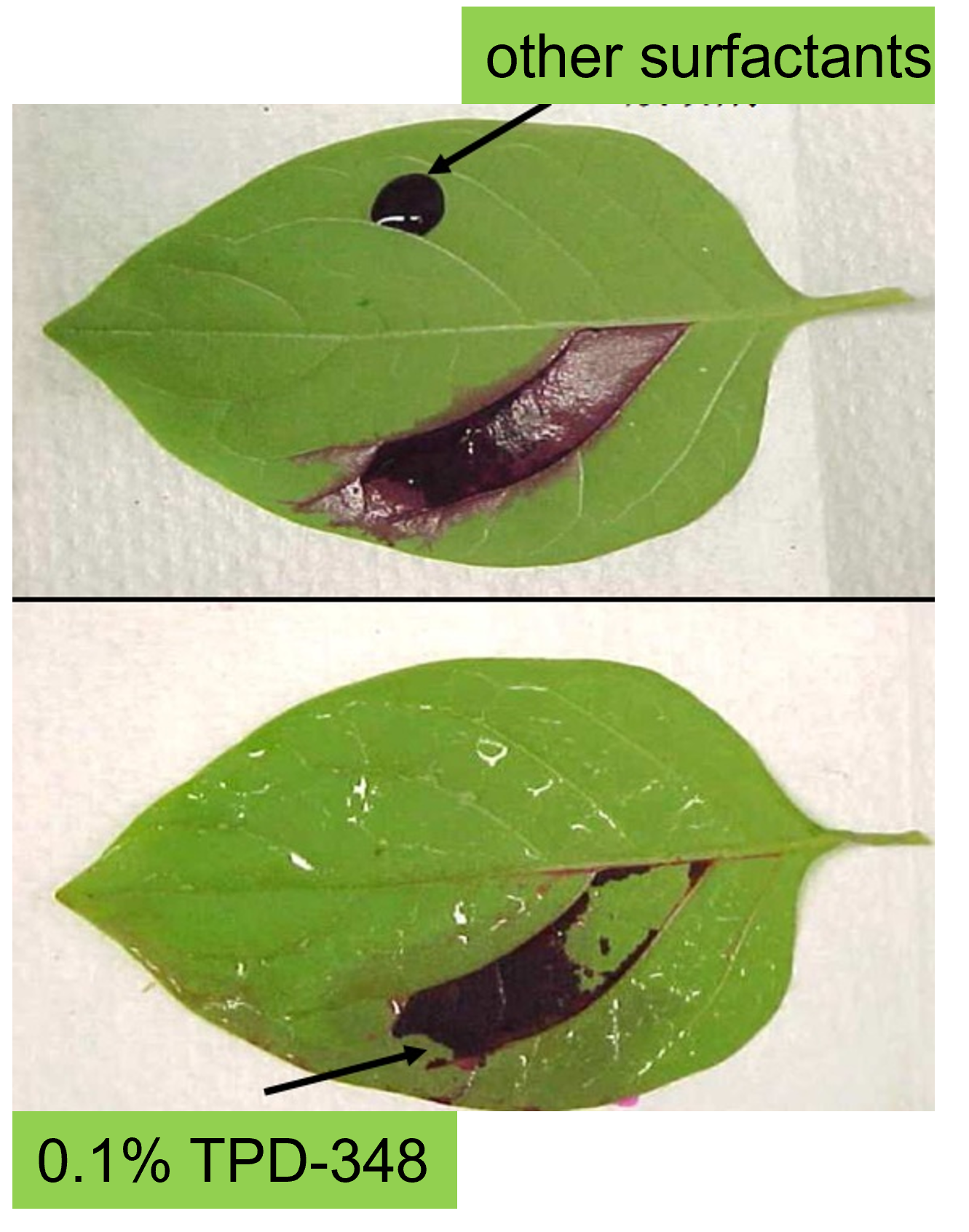 Wetting effect CAS 67674-67-3