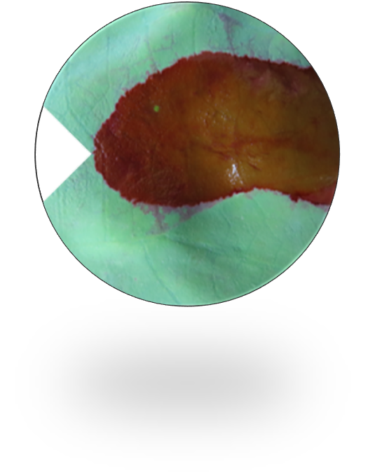 Durable to rainwater erosion